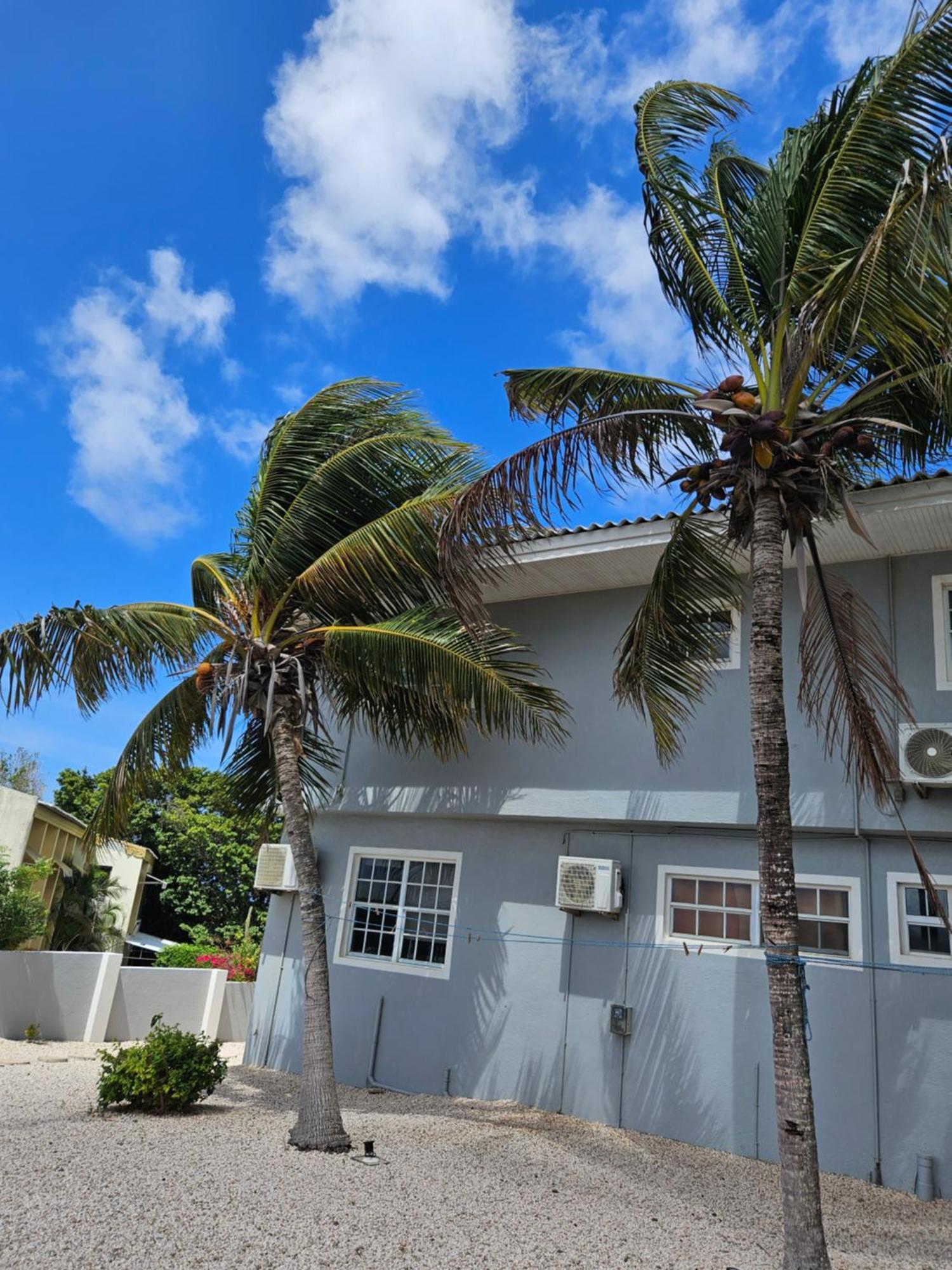 Villa Raven'S Paradise Willemstad Exterior photo
